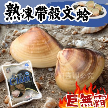 【樂廚】(冷凍)熟凍帶殼文蛤 500g(約11~13顆大文蛤)
