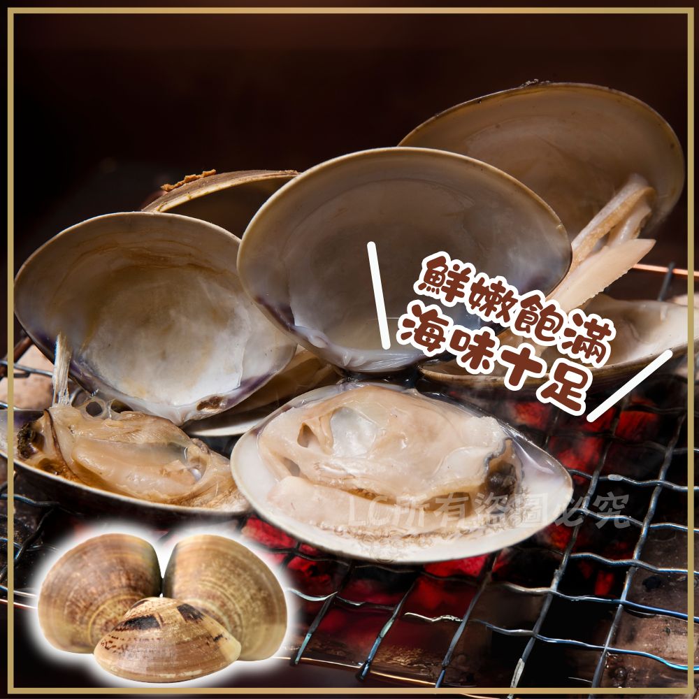【樂廚】(冷凍)熟凍帶殼文蛤 500g(約11~13顆大文蛤):圖片 2