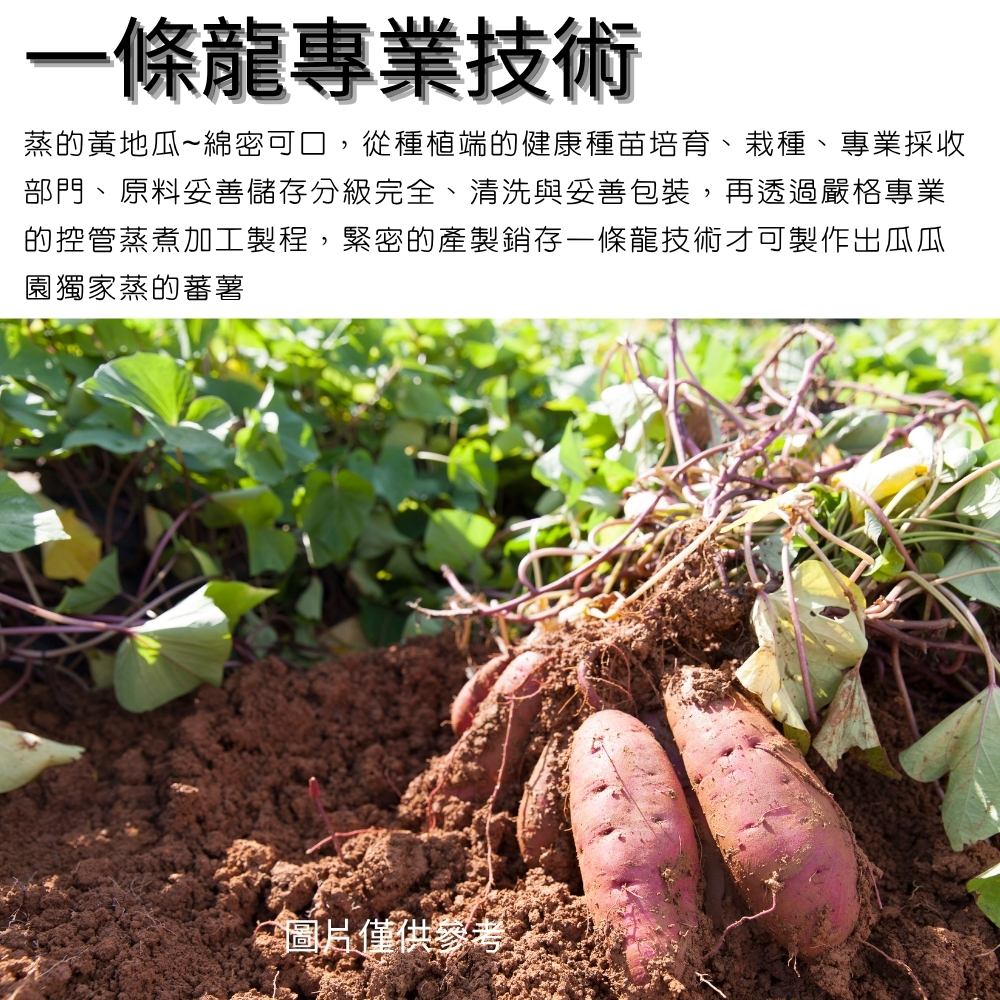 【樂廚】(冷凍)瓜瓜園蒸地瓜500g:圖片 2